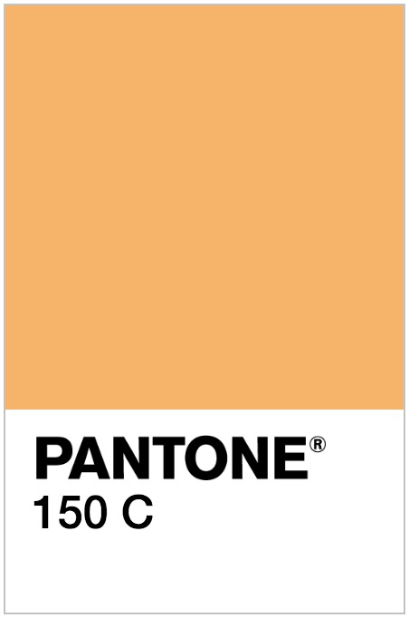 Pantone 150 C Image - January Content Calendar Ideas + Templates