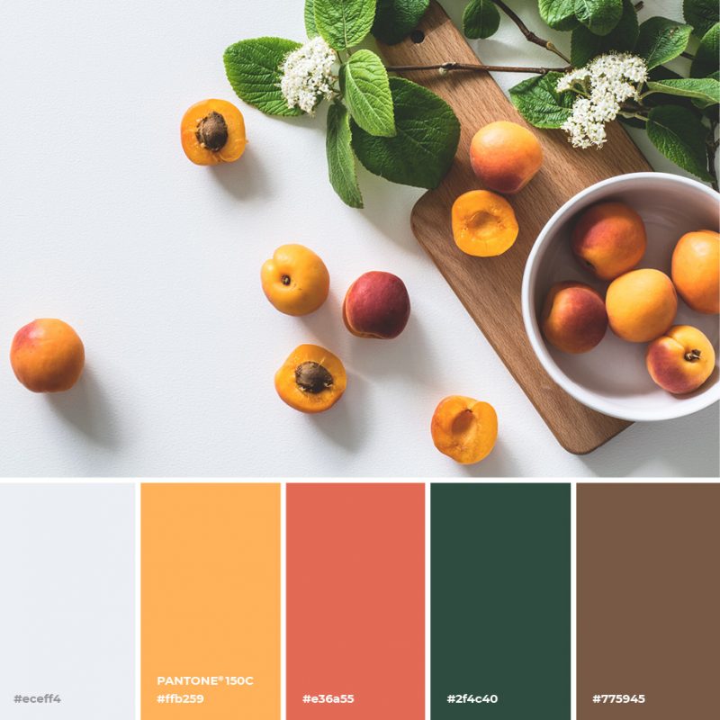 Apricot Pantone image by Easil - January Content Calendar Ideas + Templates