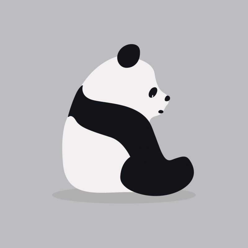 Panda Day graphic template - March Content Calendar Ideas + Templates