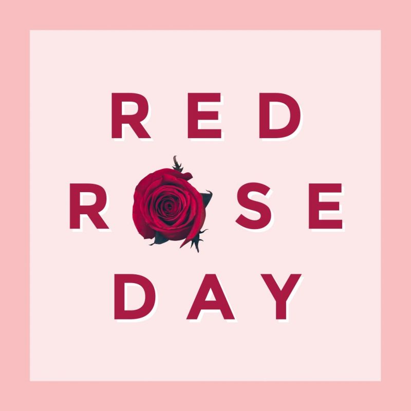 Red Rose Day Template by Easil