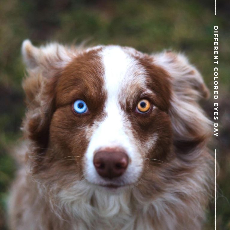 100  July Content Calendar Ideas Graphic Templates Easil