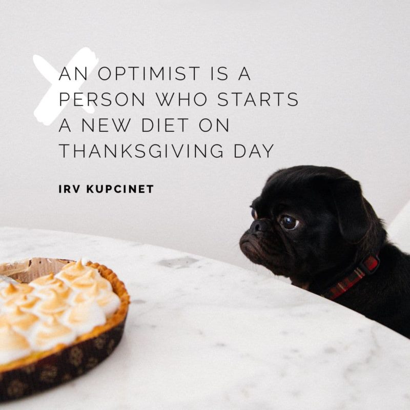 Optimist Quote by Easil - Thanksgiving Images and Ideas for Social Media (Seasonal Marketing Series)