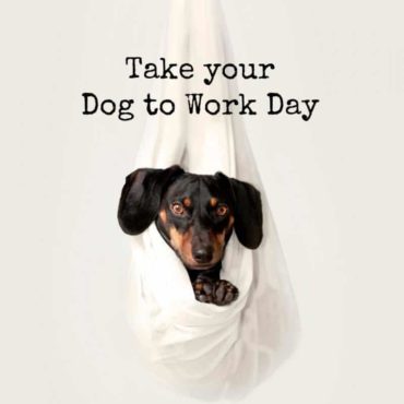 90  JUNE CONTENT CALENDAR IDEAS   TEMPLATES﻿ Easil