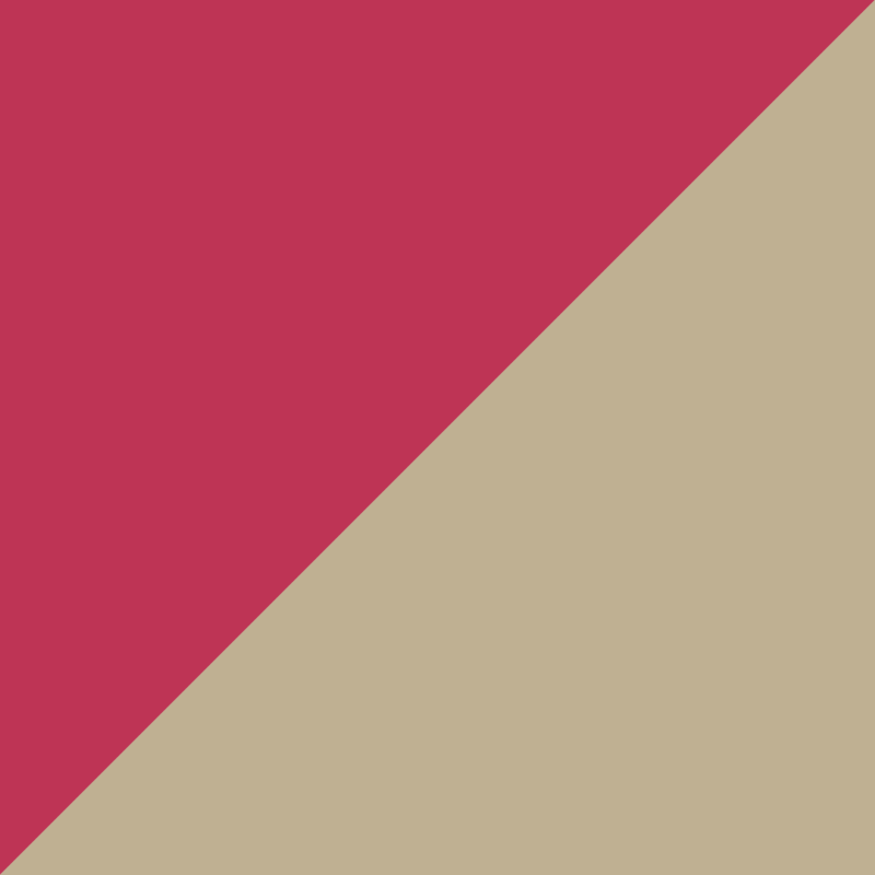 VIVA MAGENTA - Divino Diseño