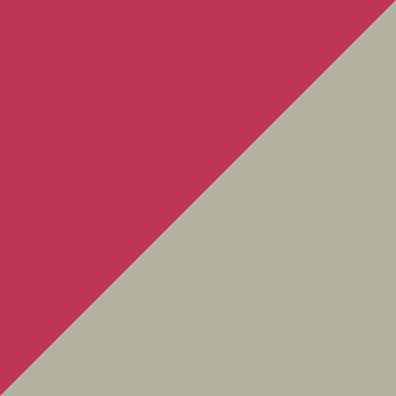 https://i.easil.com/wp-content/uploads/20221204165136/Pantone-Color-of-the-Year-2023-Viva-Magenta-6-800x800.png